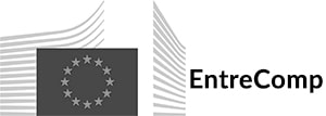 Entrepreneur Scan in EntreComp