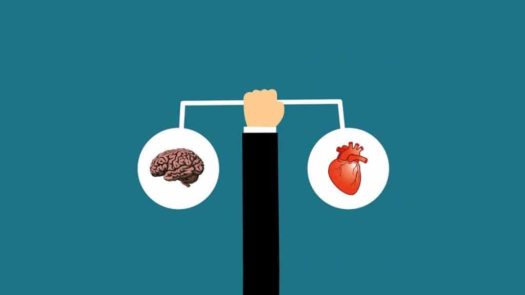 The differences between Characteristics, Capabilities, Knowledge, and Motivation